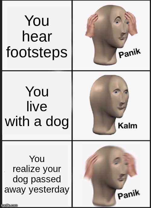 You realized | You hear footsteps; You live with a dog; You realize your dog passed away yesterday | image tagged in memes,panik kalm panik | made w/ Imgflip meme maker