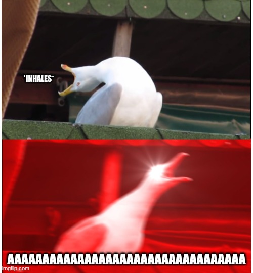 AAAAAAAAAAAAAAAAAAAAAAAAAAAAA | *INHALES*; AAAAAAAAAAAAAAAAAAAAAAAAAAAAAAAAAA | image tagged in inhaling seagull | made w/ Imgflip meme maker