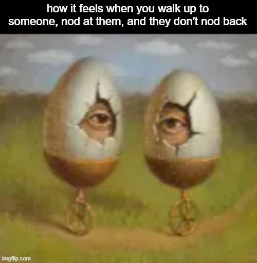 how it feels when you walk up to someone, nod at them, and they don't nod back | made w/ Imgflip meme maker