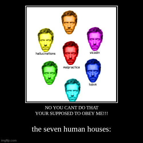 NO YOU CANT DO THAT
YOUR SUPPOSED TO OBEY ME!!! | the seven human houses: | image tagged in funny,demotivationals | made w/ Imgflip demotivational maker