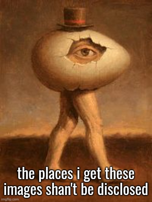 the places i get these images shan't be disclosed | made w/ Imgflip meme maker