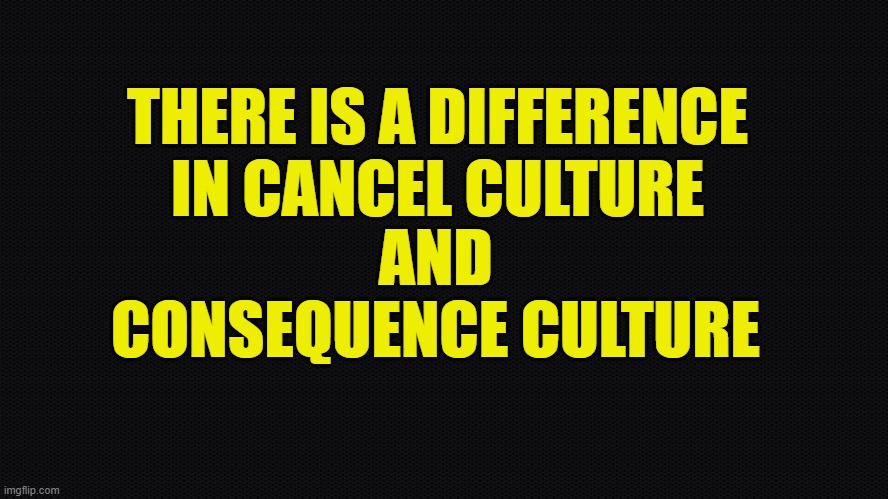 There is a difference | THERE IS A DIFFERENCE IN CANCEL CULTURE; AND CONSEQUENCE CULTURE | image tagged in cancel culture,consequences,cancelled,maga,make america great again,politics | made w/ Imgflip meme maker