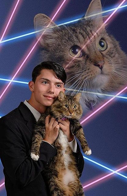 Get with cat headshot Blank Meme Template