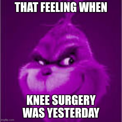 purple grinch | THAT FEELING WHEN; KNEE SURGERY WAS YESTERDAY | image tagged in purple grinch | made w/ Imgflip meme maker