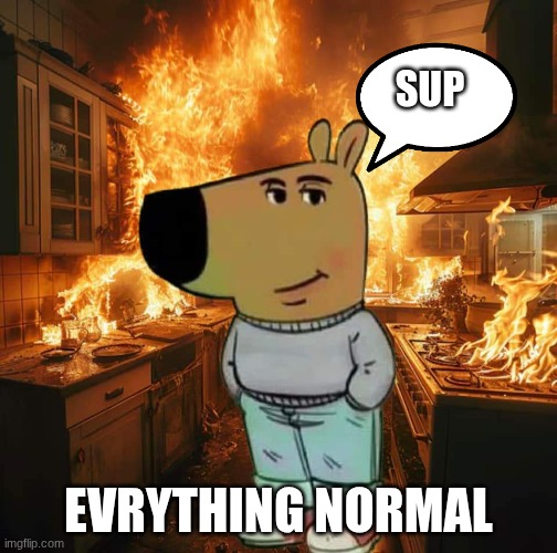 Chill guy | SUP; EVRYTHING NORMAL | image tagged in chill guy | made w/ Imgflip meme maker