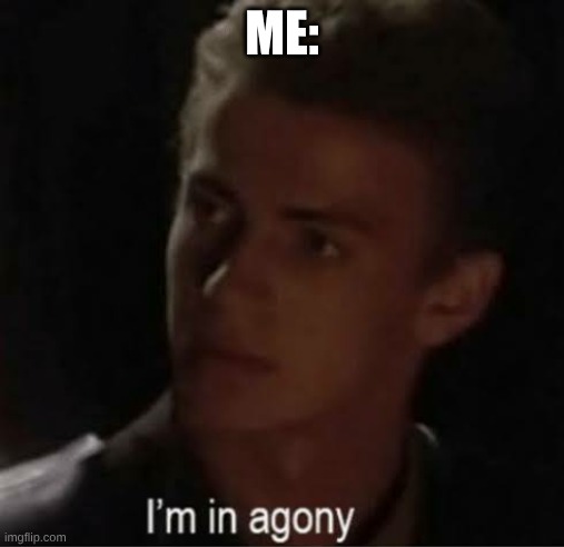 I'm in agony | ME: | image tagged in i'm in agony | made w/ Imgflip meme maker