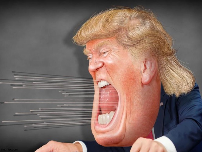 Trump shouting crazy in a high wind he made himself | image tagged in trump shouting crazy in a high wind he made himself | made w/ Imgflip meme maker