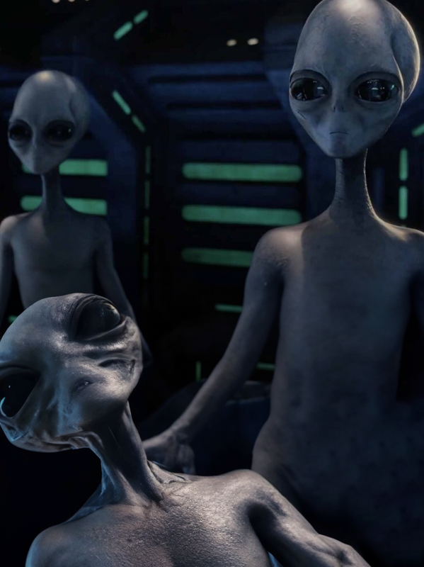 Grey Aliens Blank Meme Template