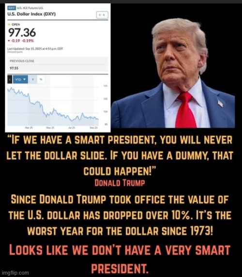Trump Quote & Factoid | image tagged in donald trump | made w/ Imgflip meme maker
