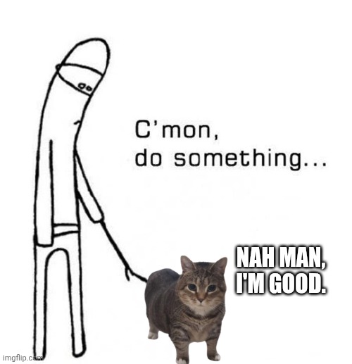 Cats: Nope. | NAH MAN, I'M GOOD. | image tagged in cmon do something,cats | made w/ Imgflip meme maker