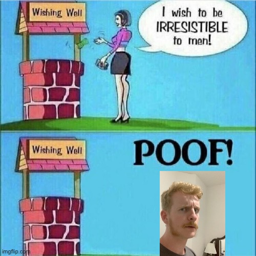 I wish to be irresistible to men | image tagged in i wish to be irresistible to men | made w/ Imgflip meme maker
