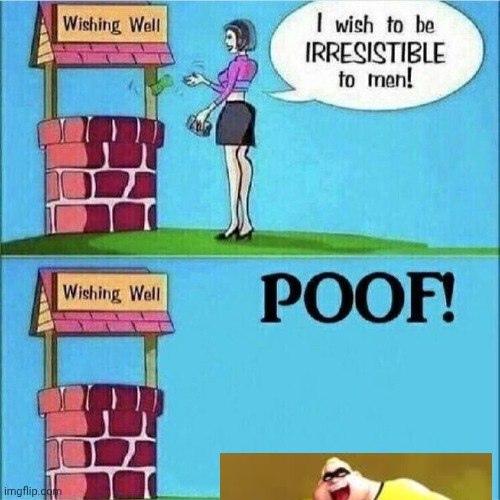 I wish to be irresistible to men | image tagged in i wish to be irresistible to men | made w/ Imgflip meme maker