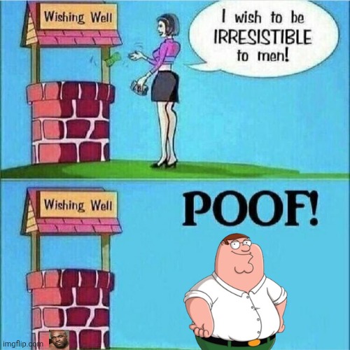 I wish to be irresistible to men | image tagged in i wish to be irresistible to men | made w/ Imgflip meme maker
