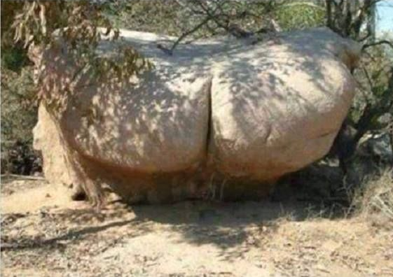 Chrisjoines1 Blank Meme Template