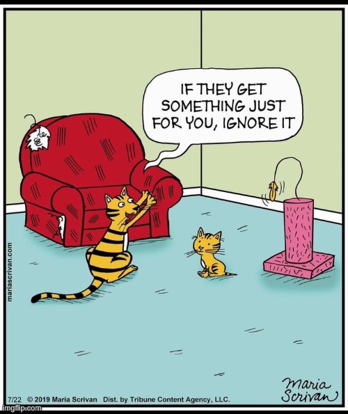 Cats have such simple needs… simple, destructive needs… | image tagged in cats,comics,ignore,scratching post,couch | made w/ Imgflip meme maker