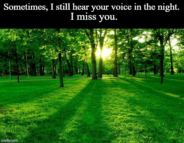 day 1 of me turning into denji | Sometimes, I still hear your voice in the night. I miss you. | made w/ Imgflip meme maker