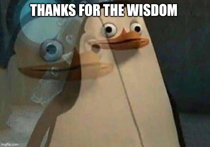 private penguin existential crisis | THANKS FOR THE WISDOM | image tagged in private penguin existential crisis | made w/ Imgflip meme maker