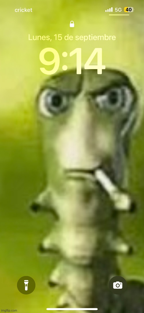 Do you guys like my wallpaper | image tagged in msmg | made w/ Imgflip meme maker