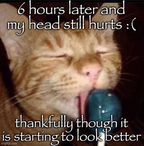 silly goober 2 | 6 hours later and my head still hurts :(; thankfully though it is starting to look better | image tagged in silly goober 2 | made w/ Imgflip meme maker