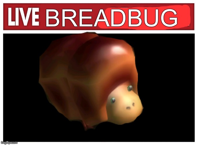 BREADBUG | image tagged in live reaction | made w/ Imgflip meme maker