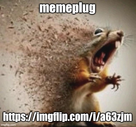 badass squirrel disintegrating | memeplug; https://imgflip.com/i/a63zjm | image tagged in badass squirrel disintegrating | made w/ Imgflip meme maker