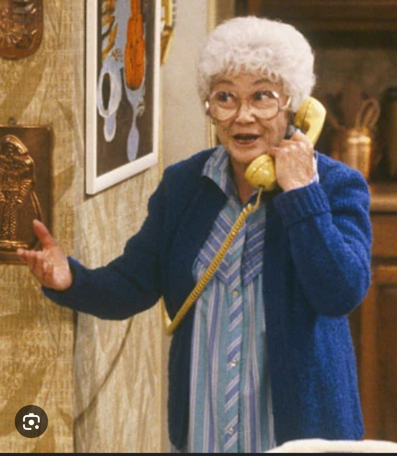 Sophia Petrillo Blank Meme Template