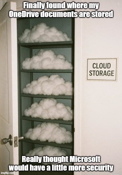 OneDrive Cloud | Finally found where my OneDrive documents are stored; Really thought Microsoft would have a little more security | image tagged in microsoft,cloud,onedrive,computers | made w/ Imgflip meme maker
