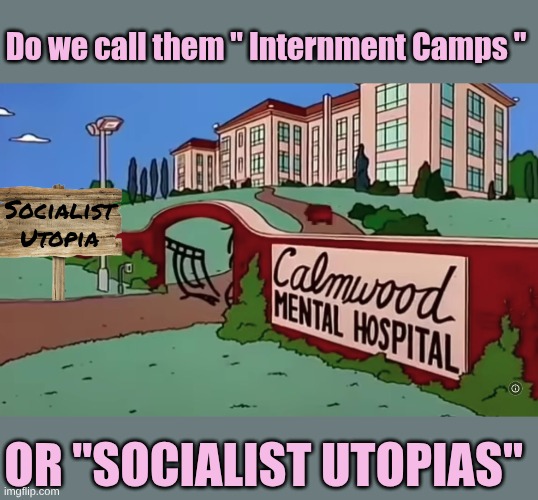 The once Looney Left are now the Violent Looney Left | Do we call them " Internment Camps "; Socialist Utopia; OR "SOCIALIST UTOPIAS" | made w/ Imgflip meme maker