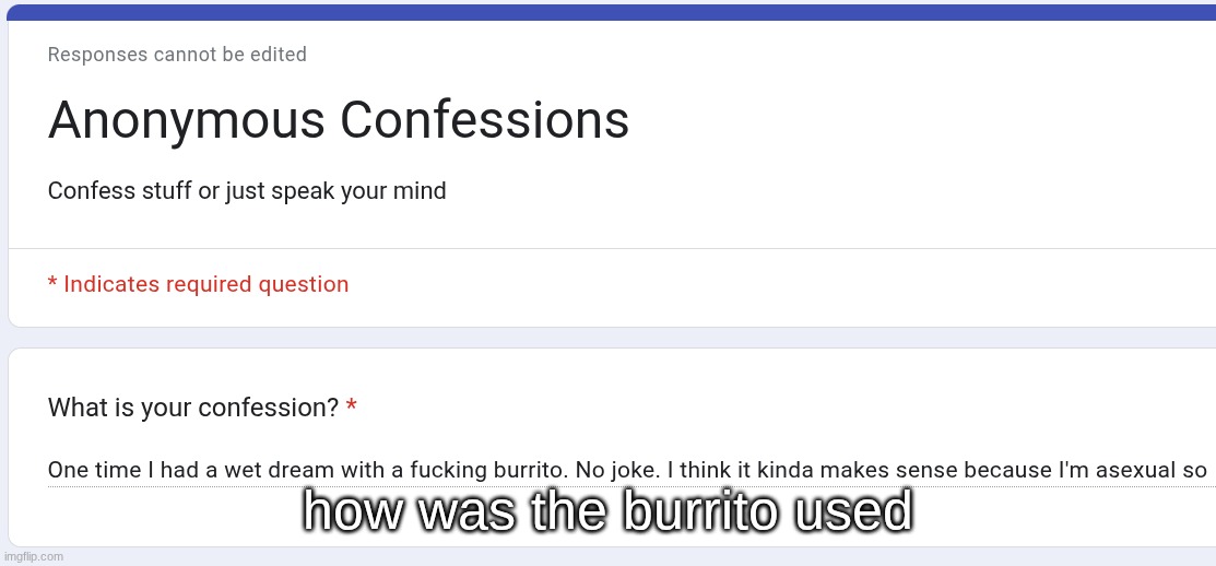 you can't just say a sentence like this and not elaborate | how was the burrito used | made w/ Imgflip meme maker