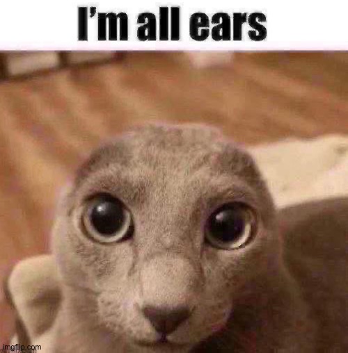 I’m all ears | image tagged in i m all ears | made w/ Imgflip meme maker