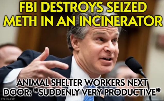 FBI DESTROYS SEIZED METH IN AN INCINERATOR; ANIMAL SHELTER WORKERS NEXT DOOR: *SUDDENLY VERY PRODUCTIVE* | FBI DESTROYS SEIZED METH IN AN INCINERATOR; ANIMAL SHELTER WORKERS NEXT DOOR: *SUDDENLY VERY PRODUCTIVE* | image tagged in chris wray fbi,why is the fbi here,fbi,breaking news,animals | made w/ Imgflip meme maker
