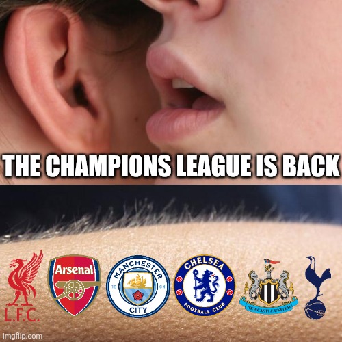 LET'S GET READY TO RUMBLEEEEE!!!!!! THE CHAMPIONS LEAGUE IS BACK AGAIN LIVE ON TNT SPORTS & DISCOVERY+!!! THE CHAAAAAMPIONS!!!!! | THE CHAMPIONS LEAGUE IS BACK | image tagged in whisper and goosebumps,champions league,liverpool,arsenal,chelsea,manchester city | made w/ Imgflip meme maker