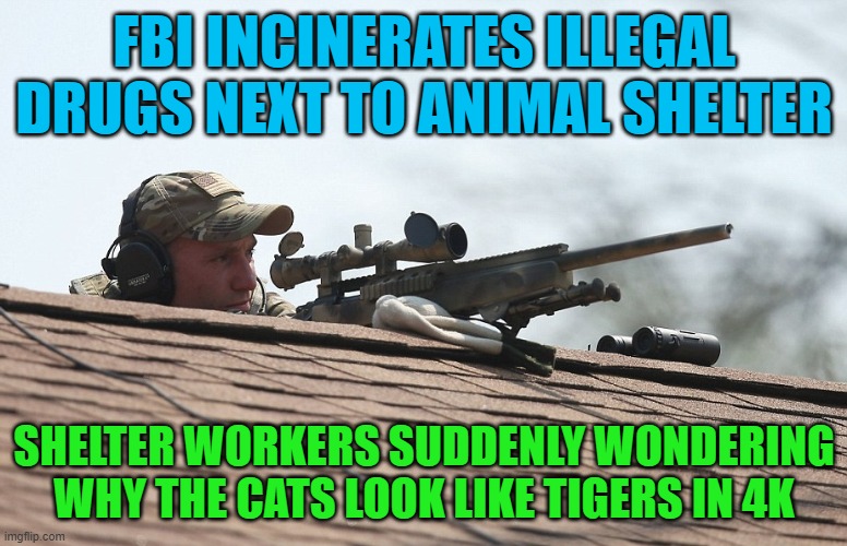 FBI INCINERATES ILLEGAL DRUGS NEXT TO ANIMAL SHELTER; SHELTER WORKERS SUDDENLY WONDERING WHY THE CATS LOOK LIKE TIGERS IN 4K | FBI INCINERATES ILLEGAL DRUGS NEXT TO ANIMAL SHELTER; SHELTER WORKERS SUDDENLY WONDERING WHY THE CATS LOOK LIKE TIGERS IN 4K | image tagged in fbi sniper roof rooftop jpp,fbi,meth,animals,why is the fbi here | made w/ Imgflip meme maker