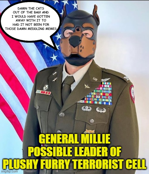 Step aside Antifa we now got Antifur | DAMN THE CATS OUT OF THE BAG! AND I WOULD HAVE GOTTEN AWAY WITH IT TO HAD IT NOT BEEN FOR THOSE DAMN MEDDLING MEMES; GENERAL MILLIE POSSIBLE LEADER OF PLUSHY FURRY TERRORIST CELL | image tagged in antifa,terrorist,traitor,furry,assassination,maga | made w/ Imgflip meme maker