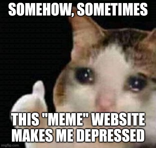 ... | SOMEHOW, SOMETIMES; THIS "MEME" WEBSITE MAKES ME DEPRESSED | image tagged in sad thumbs up cat | made w/ Imgflip meme maker