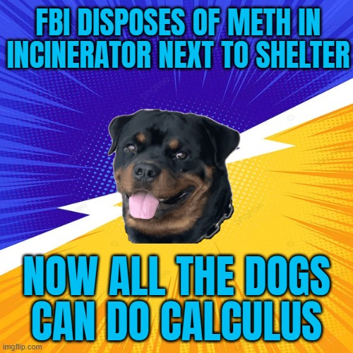 WHEN THE FBI 'DISPOSES' OF THE METH BY LIGHTING UP THE INCINERATOR NEXT TO THE ANIMAL SHELTER | FBI DISPOSES OF METH IN INCINERATOR NEXT TO SHELTER; NOW ALL THE DOGS
CAN DO CALCULUS | image tagged in advice dog,math is math,meth,why is the fbi here,animals,fbi | made w/ Imgflip meme maker