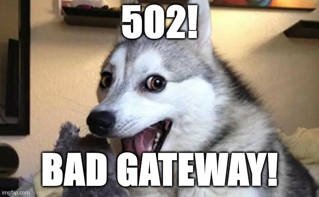 Bad gateway! | 502! BAD GATEWAY! | image tagged in pun dog - husky,http,status code,server error,proxy | made w/ Imgflip meme maker