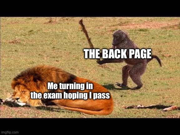 monkey hit lion tree | THE BACK PAGE; Me turning in the exam hoping I pass | image tagged in monkey hit lion tree,school,memes,exams,funny | made w/ Imgflip meme maker