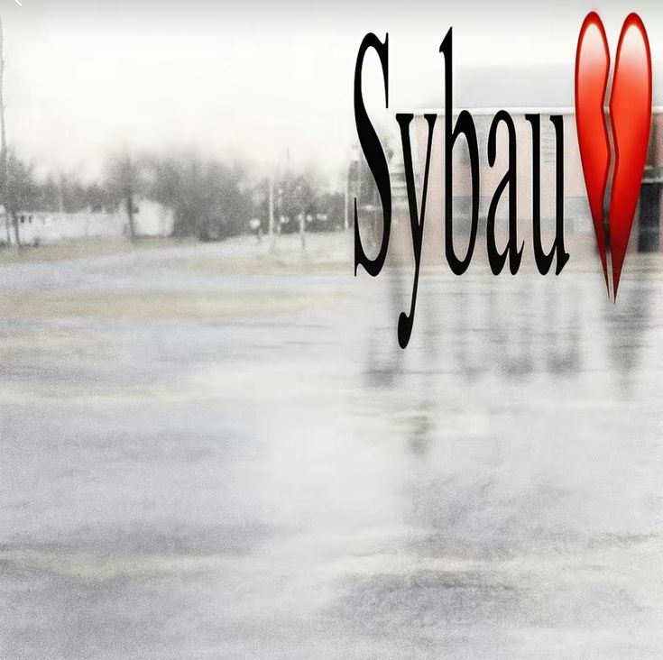 Sybau Blank Meme Template