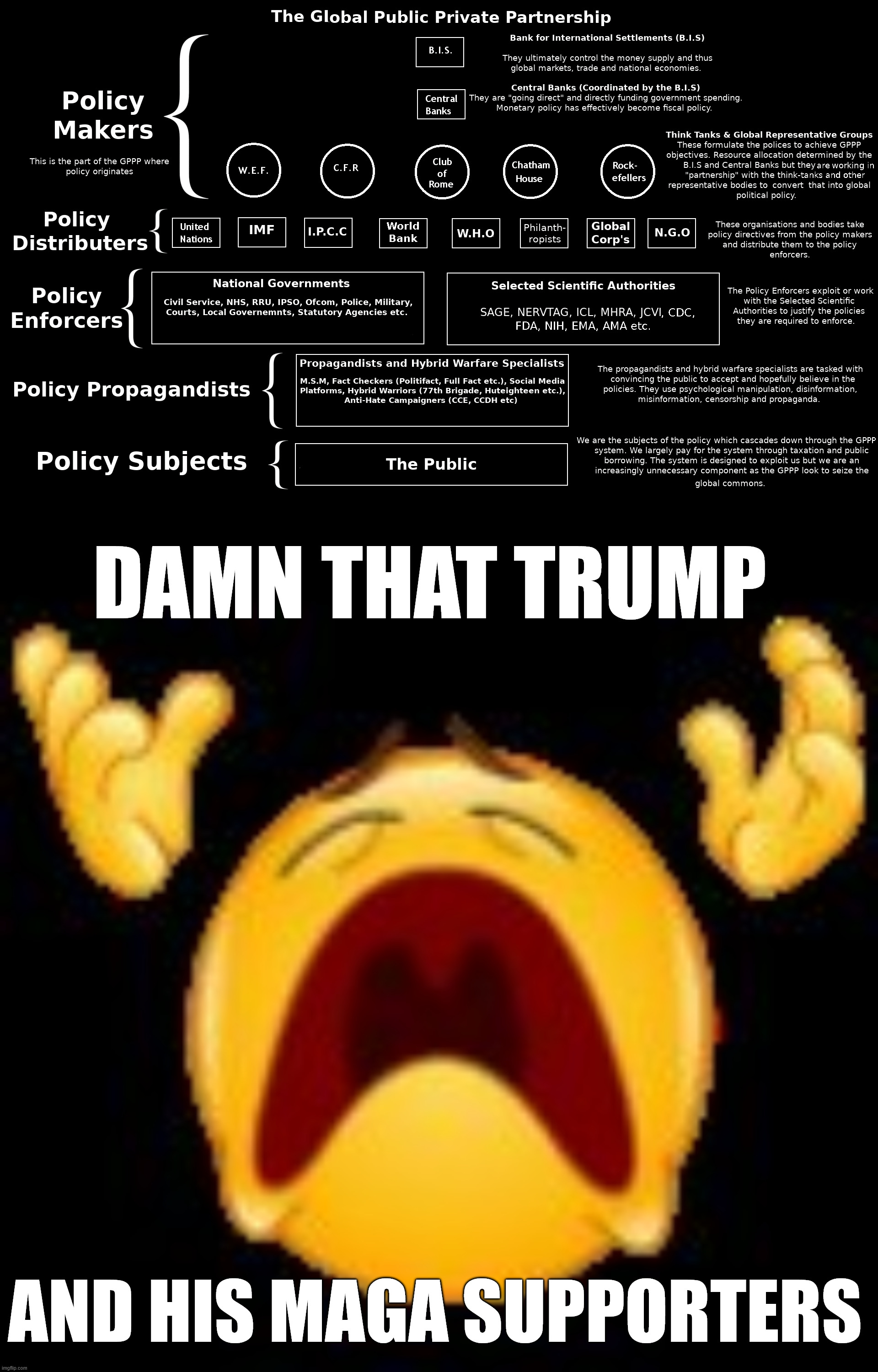 DAMN THAT TRUMP AND HIS MAGA SUPPORTERS | image tagged in crying emoji | made w/ Imgflip meme maker