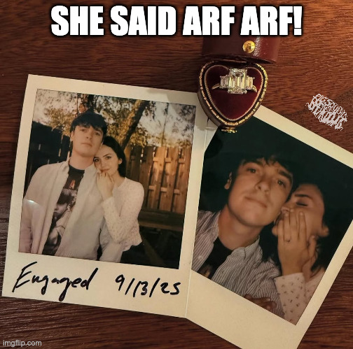 she said arf arf | SHE SAID ARF ARF! | image tagged in knocked loose,deathcore | made w/ Imgflip meme maker