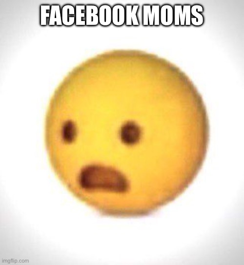 Shocked emoji | FACEBOOK MOMS | image tagged in shocked emoji | made w/ Imgflip meme maker
