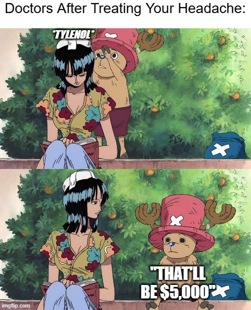 Tylenol Not Within Network... | Doctors After Treating Your Headache:; *TYLENOL*; "THAT'LL BE $5,000" | image tagged in funny,memes,funny memes,onepiece,healthcare | made w/ Imgflip meme maker
