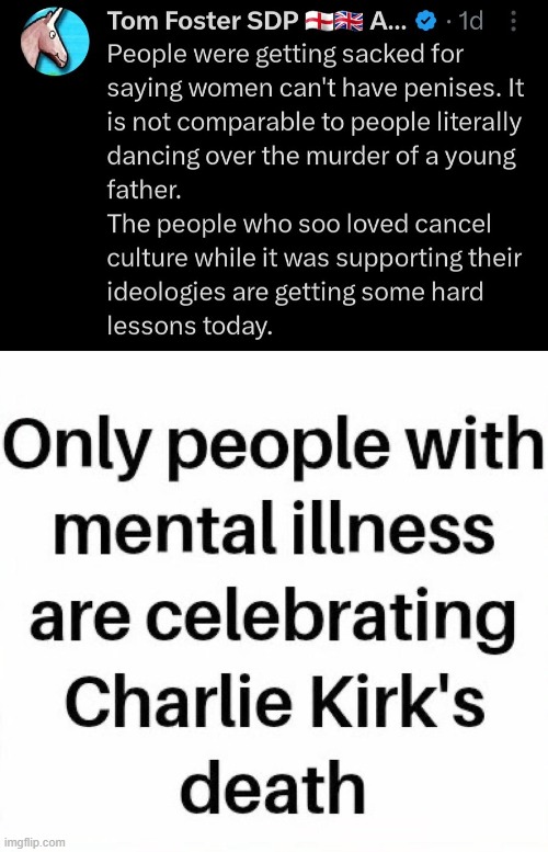 Truth | image tagged in mental illness,leftists,obvious,truth | made w/ Imgflip meme maker