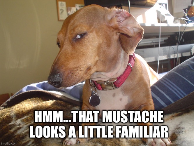 Suspicious Dog | HMM…THAT MUSTACHE LOOKS A LITTLE FAMILIAR | image tagged in suspicious dog | made w/ Imgflip meme maker