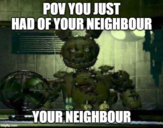 neighbour | POV YOU JUST HAD OF YOUR NEIGHBOUR; YOUR NEIGHBOUR | image tagged in fnaf springtrap in window | made w/ Imgflip meme maker