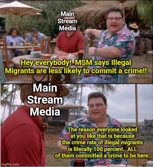 See Nobody Cares | Main Stream Media; Hey everybody!  MSM says Illegal Migrants are less likely to commit a crime!! Main Stream Media; The reason everyone looked at you like that is because the crime rate of illegal migrants is literally 100 percent.  ALL of them committed a crime to be here. | image tagged in memes,see nobody cares | made w/ Imgflip meme maker