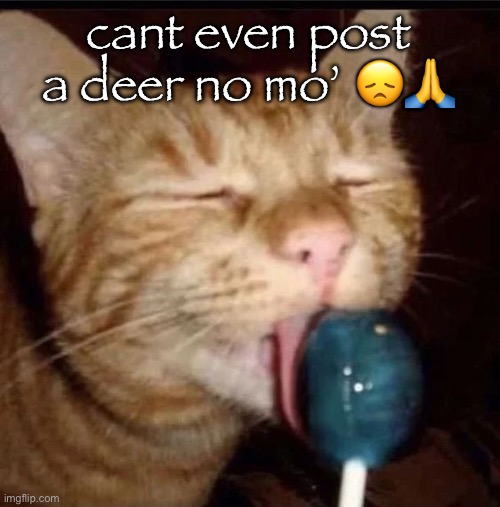 silly goober 2 | cant even post a deer no mo’ 😞🙏 | image tagged in silly goober 2 | made w/ Imgflip meme maker