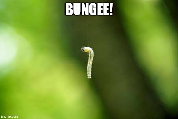Worms Armageddon | BUNGEE! | image tagged in worms | made w/ Imgflip meme maker