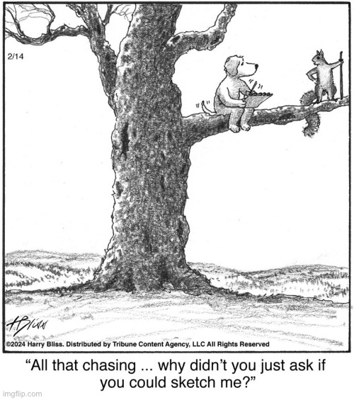 image tagged in comics,harry bliss,dog,squirrel,sketching | made w/ Imgflip meme maker
